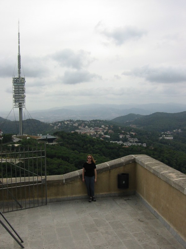 View east